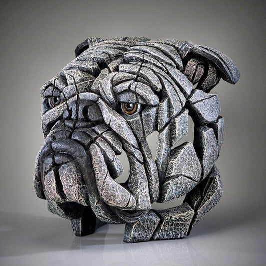 Bulldog Bust White