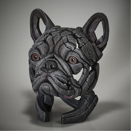 French Bulldog Blue