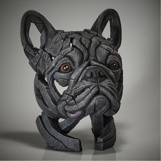 French Bulldog Blue