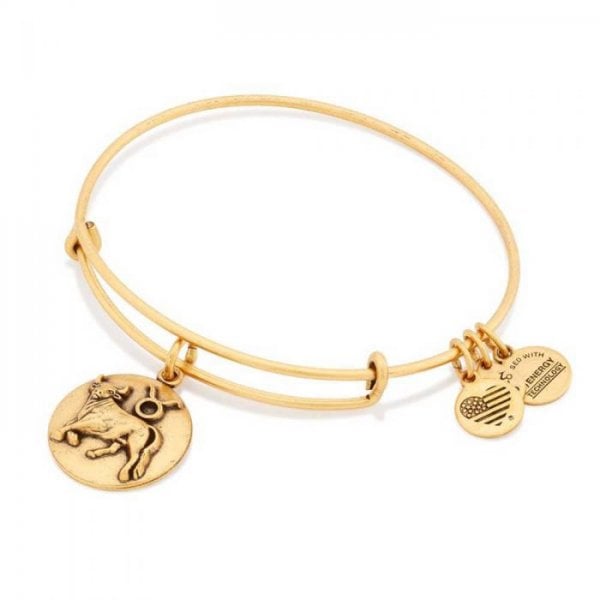 Taurus Charm Bangle