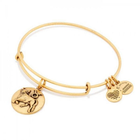 Taurus Charm Bangle