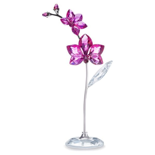 SWAROVSKI FLOWER DREAMS - ORCHID