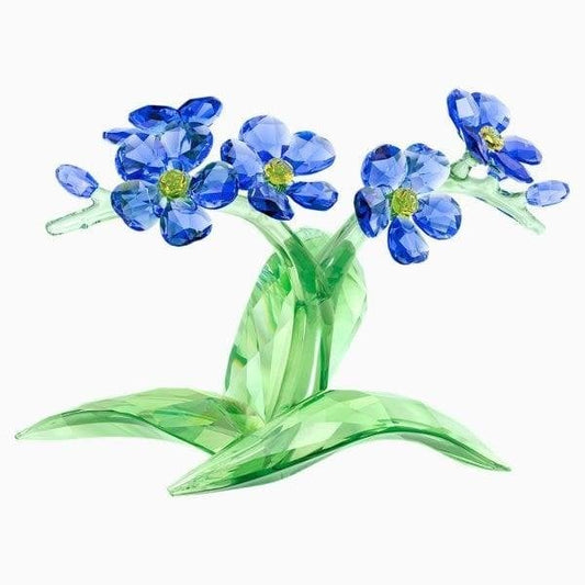 FORGET-ME-NOT