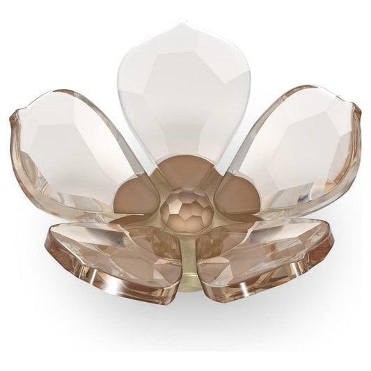 Garden Tales Magnolia Magnet, Small