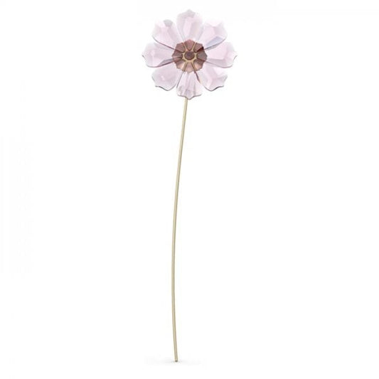 Garden Tales Cosmos