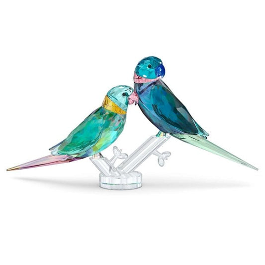 Parakeet Couple Fife & Fifer