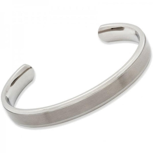 Titanium Bangle