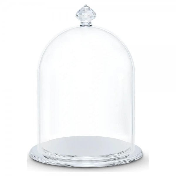 Bell Jar Display, small