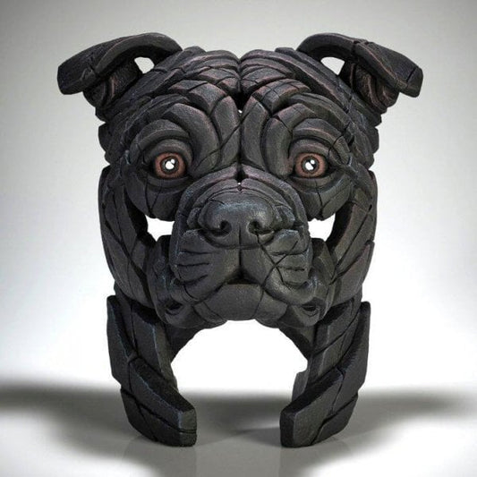 Staffordshire Bull Terrier - Black