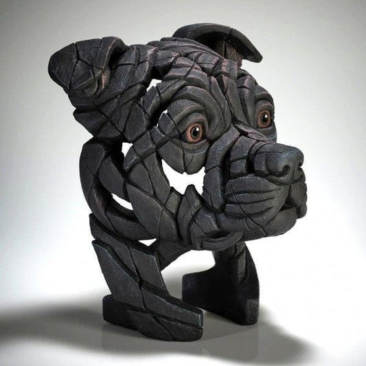 Staffordshire Bull Terrier - Black