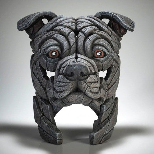 Staffordshire Bull Terrier - Blue