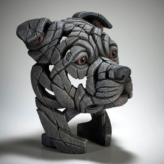 Staffordshire Bull Terrier - Blue