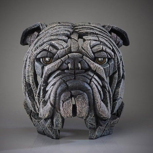 Bulldog Bust White