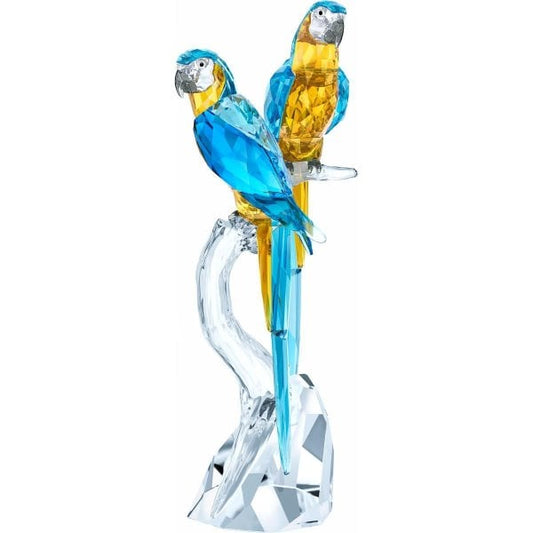 Macaws