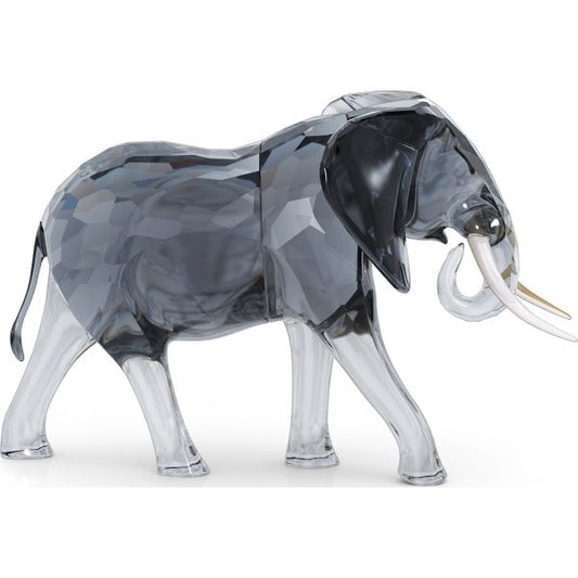 Elegance of Africa Elephant Bull