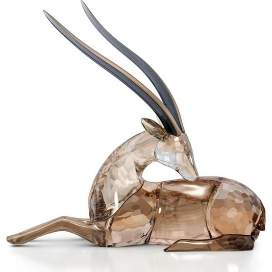 African Sunset Gazelle Kito