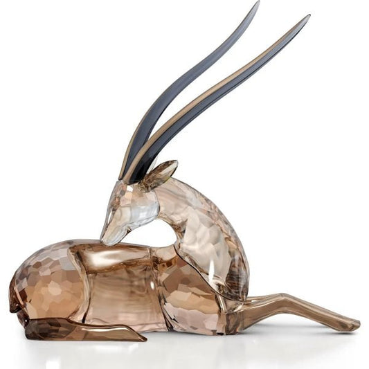 African Sunset Gazelle Jabali