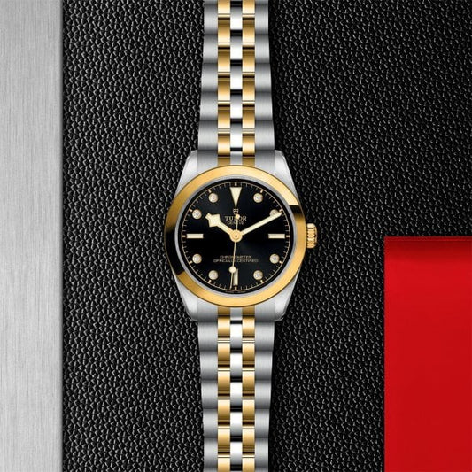 TUDOR Black Bay One 31 S&G