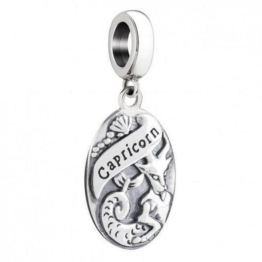 Capricorn Hanging Charm