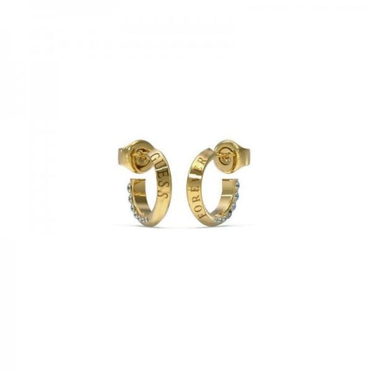 Forever Links Earrings