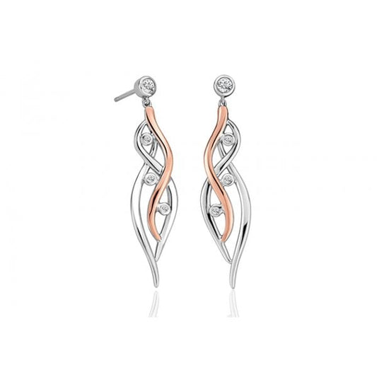Silver Swallow Falls Drop Earrings