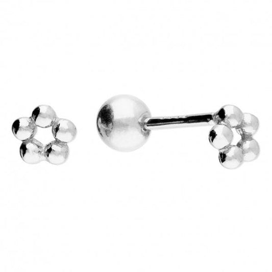 Sterling Silver Earrings