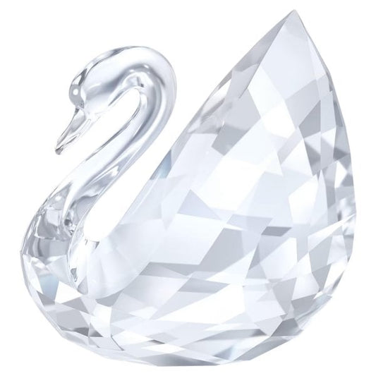 SWAN, LARGE
