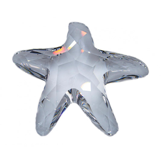 Clear Star Fish - SCS Joining / Renewal Gift 2005