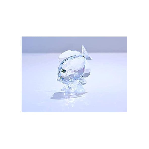 SCS Tang Fish - Wonders Of The Sea