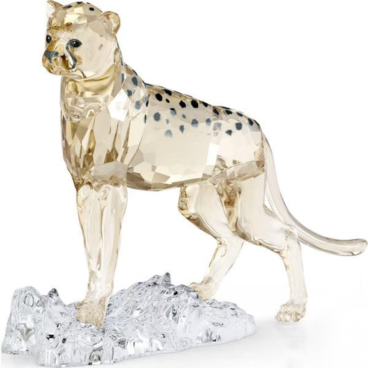 Elegance SCS Cheetah Baby Jabari, (Signed Edition)