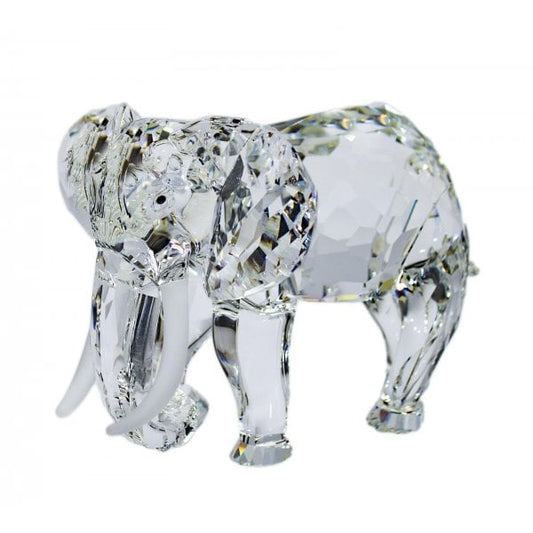 SCS - Annual Edition 1993 - Elephant
