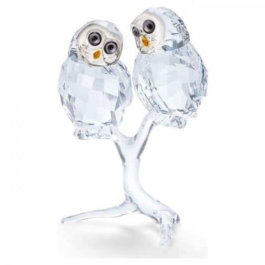 Feathered Beauties: Owl Couple