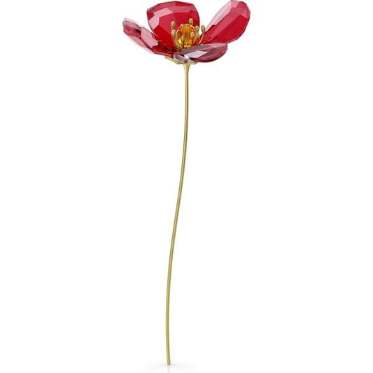 Garden Tales Red Poppy