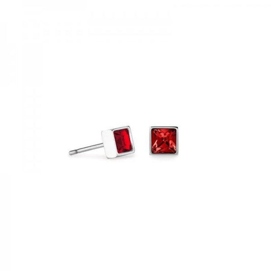 Brilliant Square Earrings Silver Red