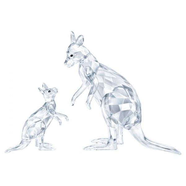 Kangaroo Mother with Baby