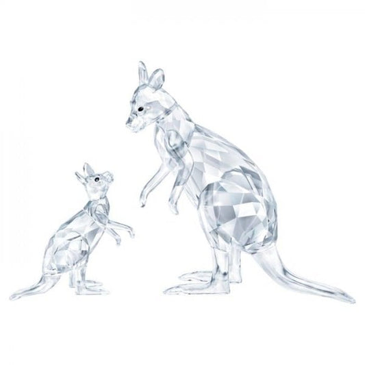 Kangaroo Mother with Baby