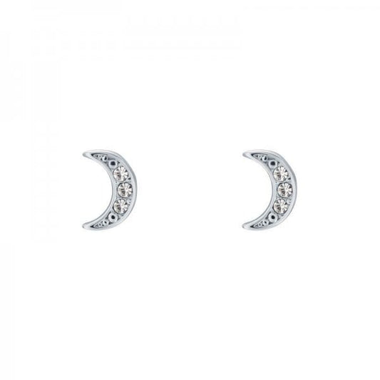 Ladies Ted Baker Jewellery Melodyi Earrings