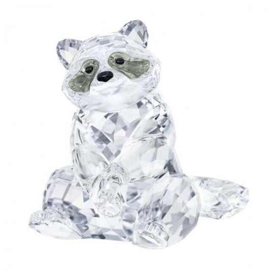 RACCOON