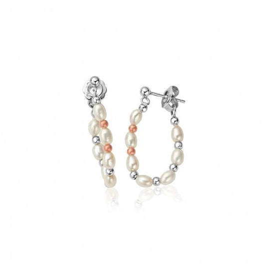 Welsh Beachcomber Drop Earrings