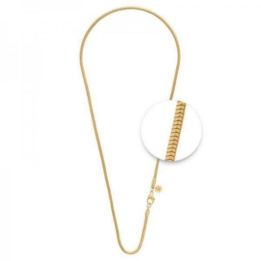 Gold Plated Chain - 80cm