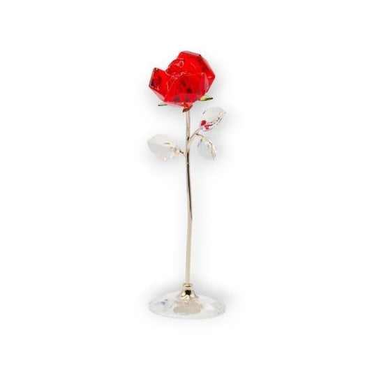 Large Red Rose – Flower Dreams