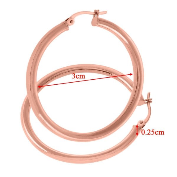 Rose Gold Hoop Earrings