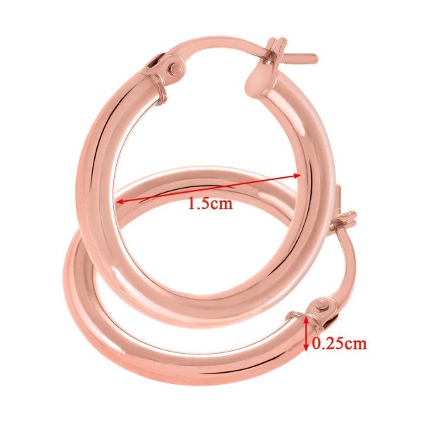 Rose Gold Earrings