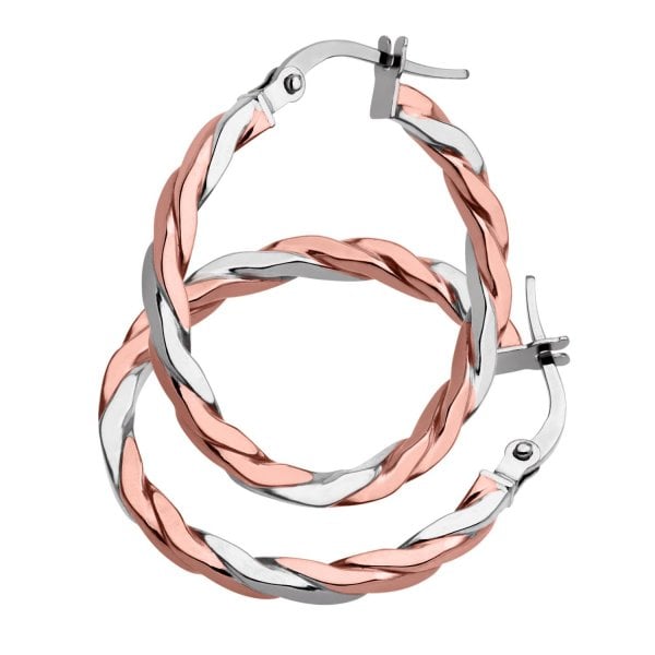 Rose Gold & White Gold Earrings