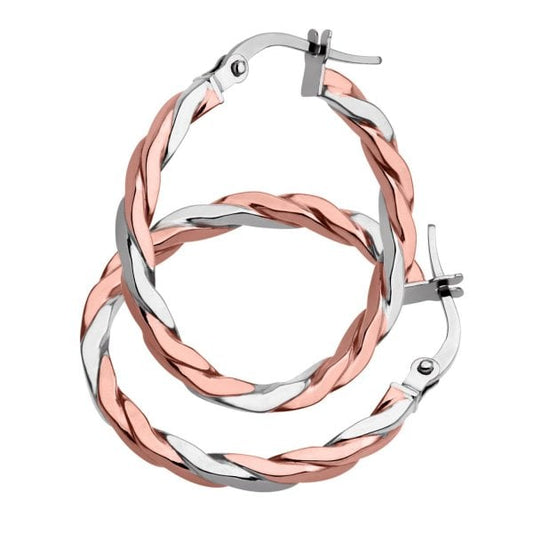 Rose Gold & White Gold Earrings