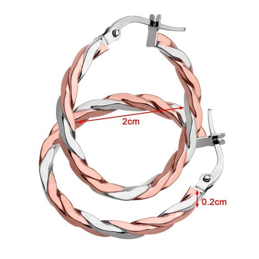 Rose Gold & White Gold Earrings
