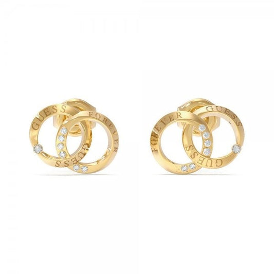 Forever Links Gold Plated Stainless Steel Earrings