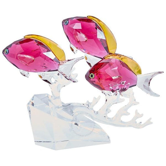 ANTHIAS FISH TRIO