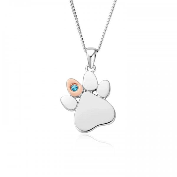 PAW PRINTS BIRTHSTONE PENDANT - DECEMBER