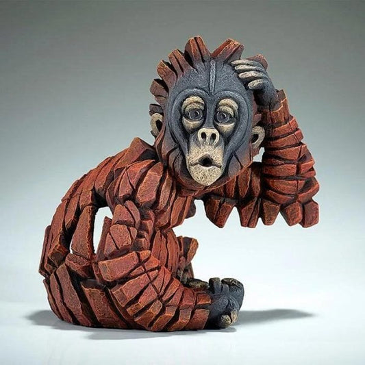 Baby Orangutan